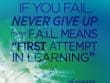 If You Fail, Never Give Up
