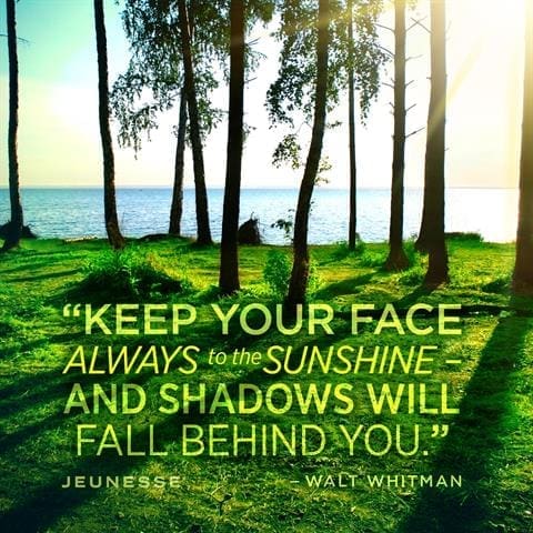 Keep Your Face To The Sun