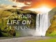 Live Your Life On Purpose