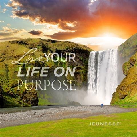 Live Your Life On Purpose