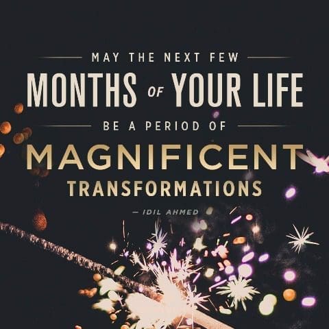 Magnificient Transformations