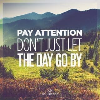 Pay Attention Don't Just Let The Day Go By