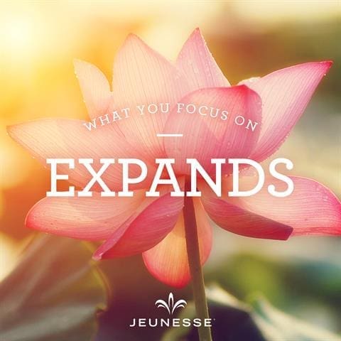 What You Focus On Expands