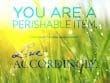 You Are Perishable Item