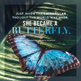 Just When The Caterpillar Thought The World Was Over She Became A Butterfly